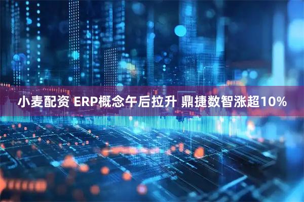 小麦配资 ERP概念午后拉升 鼎捷数智涨超10%