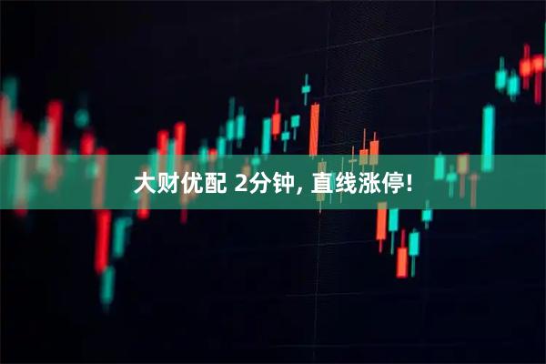 大财优配 2分钟, 直线涨停!